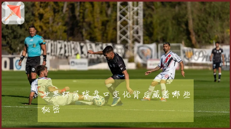 世界杯买球盘口变化背后藏着哪些秘密