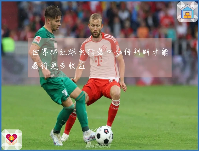 世界杯让球竞猜盘口如何判断才能赢得更多收益