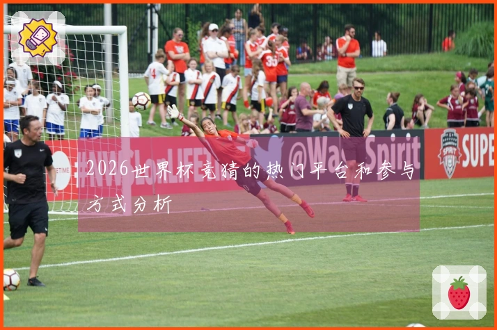 2026世界杯竞猜的热门平台和参与方式分析