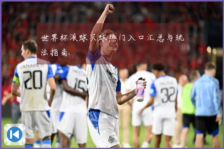 世界杯滚球买球热门入口汇总与玩法指南