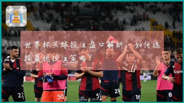 世界杯买球投注盘口解析，如何选择最优投注策略？