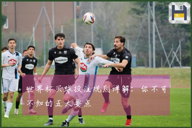 世界杯买球投注规则详解：你不可不知的五大要点