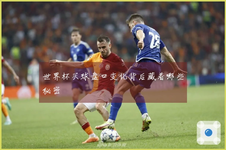 世界杯买球盘口变化背后藏着哪些秘密