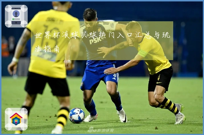 世界杯滚球买球热门入口汇总与玩法指南