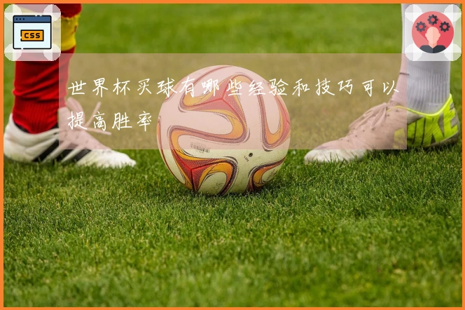 世界杯买球有哪些经验和技巧可以提高胜率