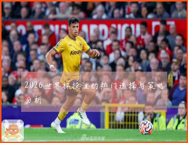 2026世界杯投注的热门选择与策略分析