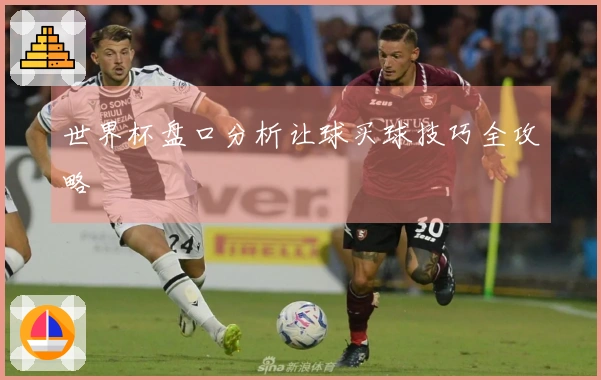 世界杯盘口分析让球买球技巧全攻略