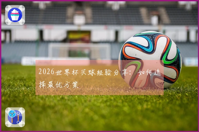 2026世界杯买球经验分享：如何选择最优方案