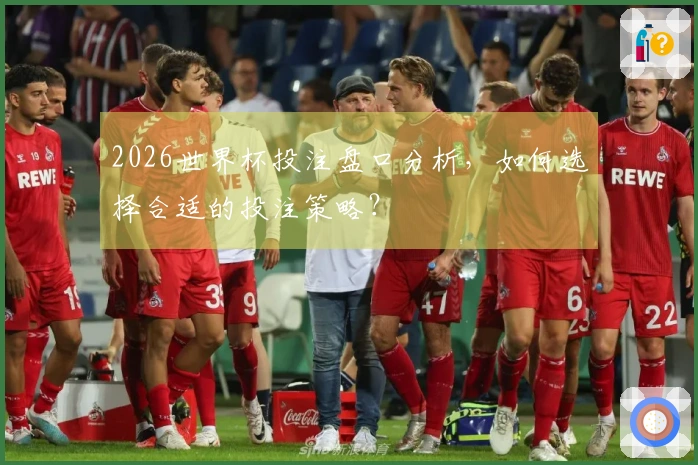2026世界杯投注盘口分析，如何选择合适的投注策略？