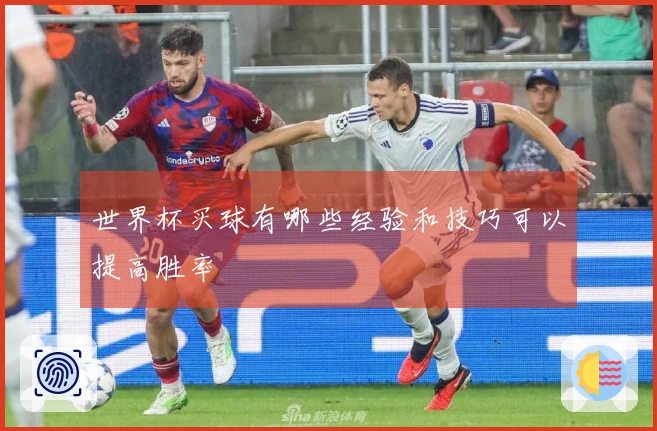 世界杯买球有哪些经验和技巧可以提高胜率